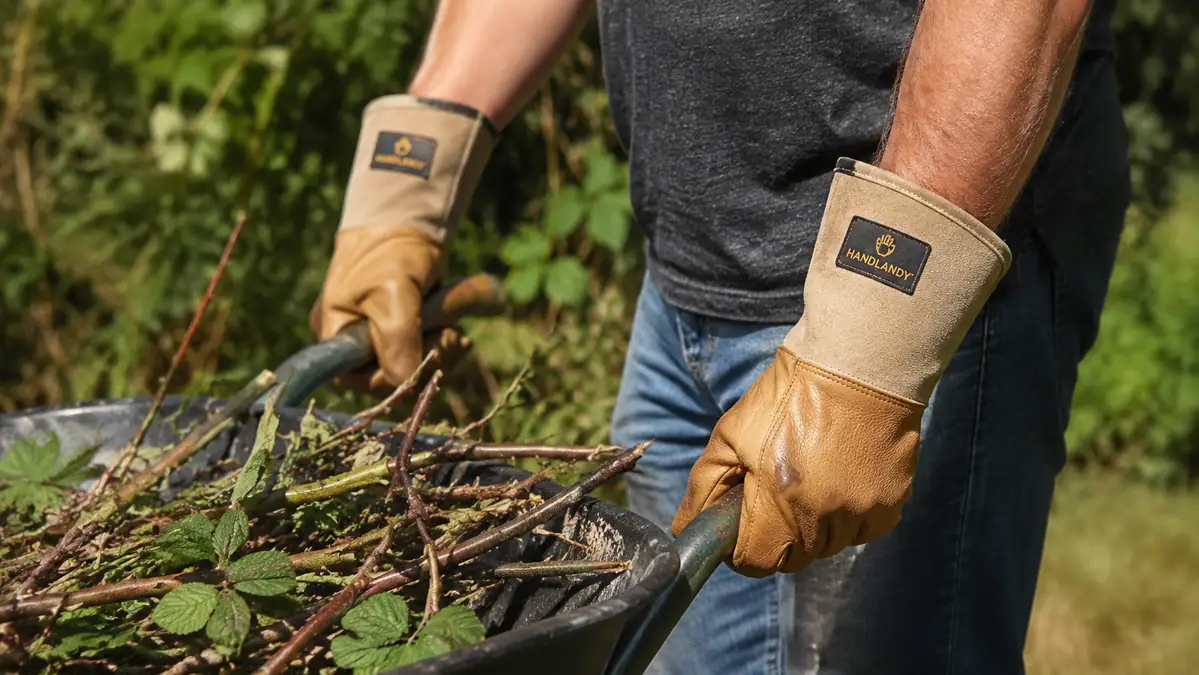 Close-up of a gloved hand gripping a wheelbarrow handle loaded with cut brush and thorny canes